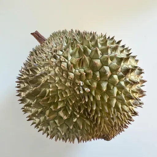 Durian Delight and Feijoa Fun: Adventures in Banned, Forgotten, and Unusual Fruit