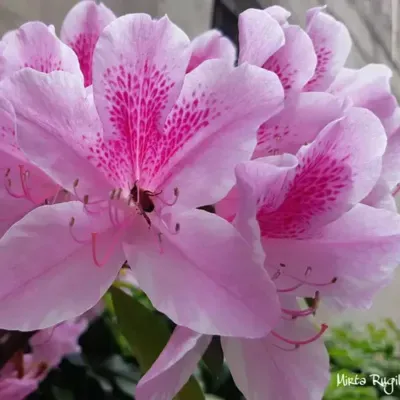 ¿Es posible cambiar?