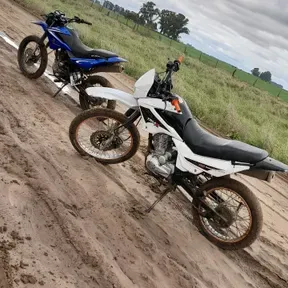 Ratito