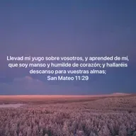 BIENAVENTURADOS LOS MANSOS (E1858).