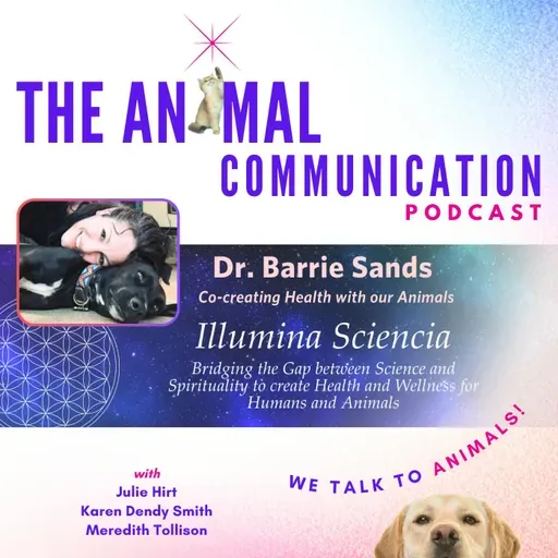 Dr. Barrie Sands - Co-Creating Health