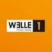 Welle 1 Linz