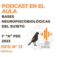 RADIO EN EL AULA. BASES NEUROPSICOBIOLOGICAS DEL SUJETO PEE