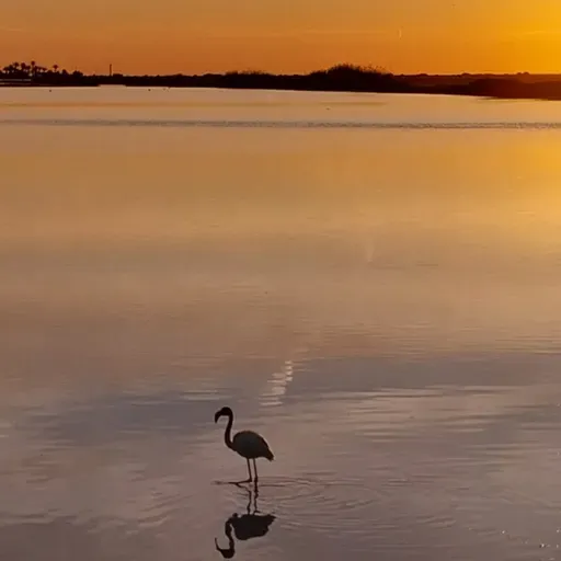 VIENTO DE LEBECHE T03C045 Los veranos de la Antigüedad (08/07/2024)