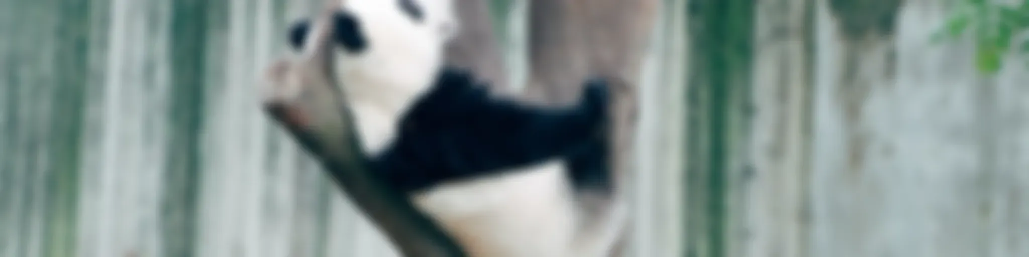 Podnda