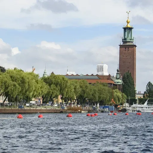 Teen suspected of planning IS terror crime in Stockholm, Jehovah's Witnesses lose state funding, grim fireplace find in Vadstena