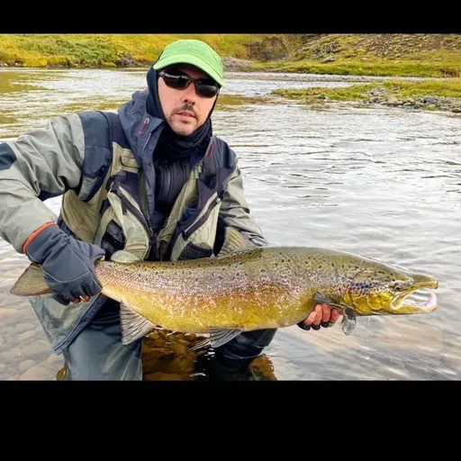 El Campanu del Ulla, es devuelto a sus aguas por un acto de conservación por Miguel Muiños en 2024. Volverá a suceder?