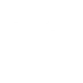 black lives matter