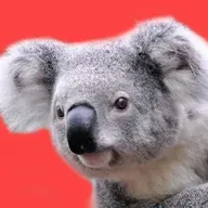 スガキヤ流の辛辛魚「スガ辛魚ラーメン」が2月5日から登場！麺処 井の庄との限定コラボメニュー