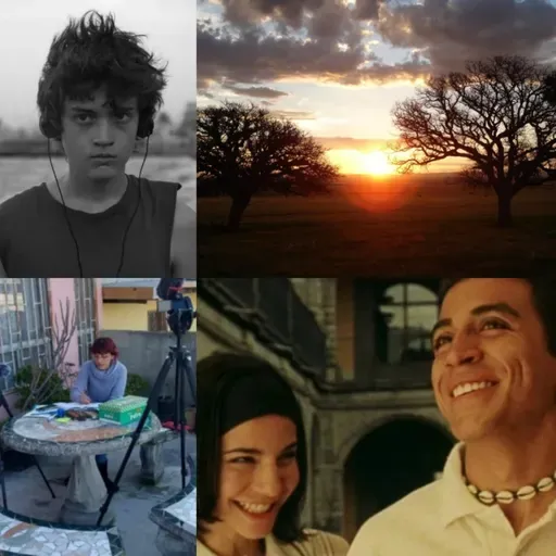 25 años de cine mexicano (2000-2024) - Parte 5