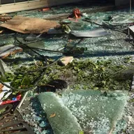 alfombra de cristales rotos