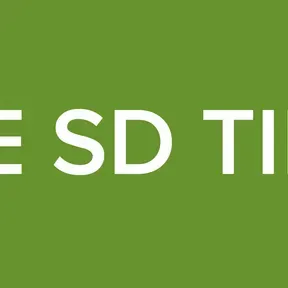 THE SD TIME