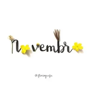LINK NOVEMBRO