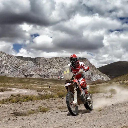 Paulo Gonçalves sobe a 2.º da geral e é aposta lusa à vitória no Dakar 2015
