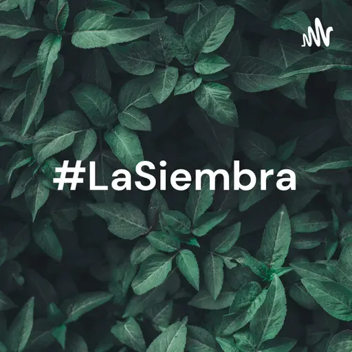 La Siembra: La tarea de declarar impuestos