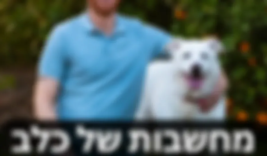 ”מחשבות של כלב”