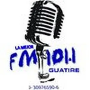 LA MEJOR 101.1 FM