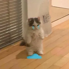 GelatoParlour