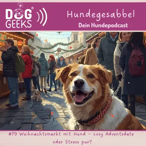 #79 Weihnachtsmarkt mit Hund – cosy Adventsdate oder Stress pur?