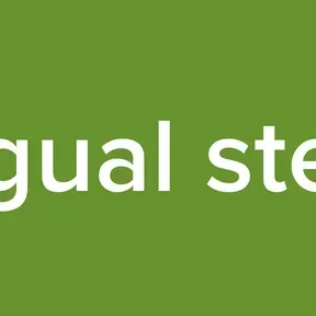 vijagual stereo