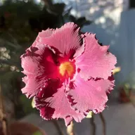 Estação Espírita 61