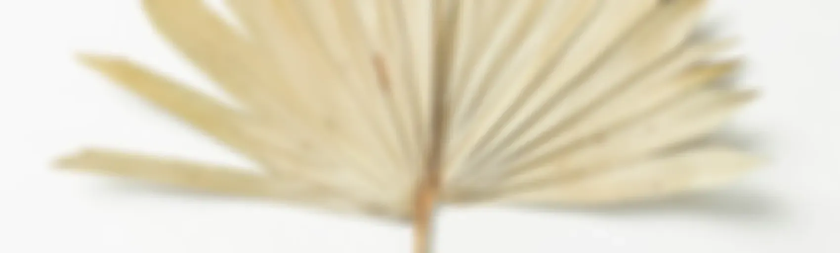 Gereja Peduli Disabilitas