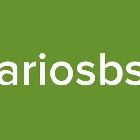 Rariosbsb