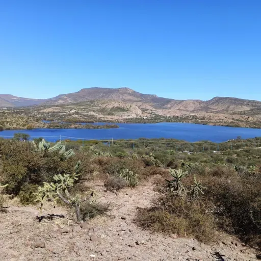 "la riqueza de nuestras comunidades 
