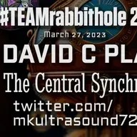 #TEAMrabbithole 288 | David Charles Plate - The Central Synchronizer - March 27, 2023