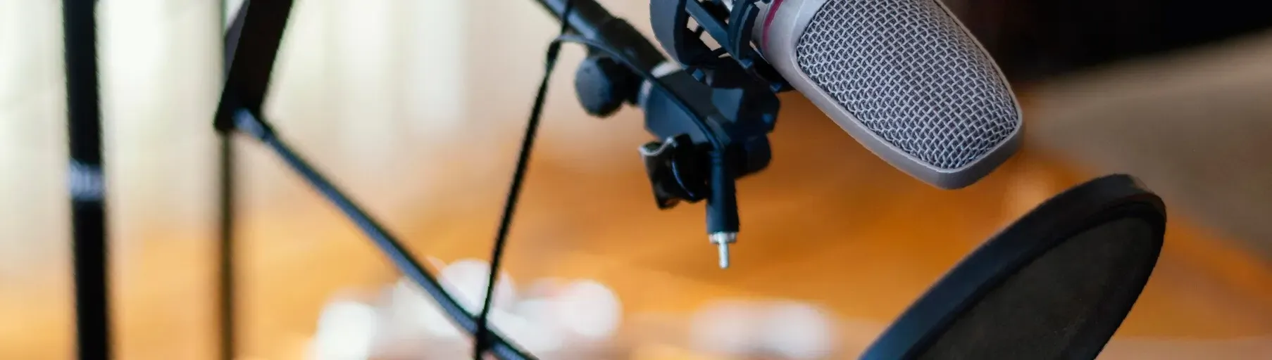 Nueva Vida Stereo