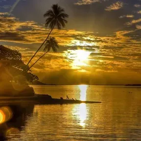 Tropical Radio