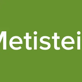 Metisteik