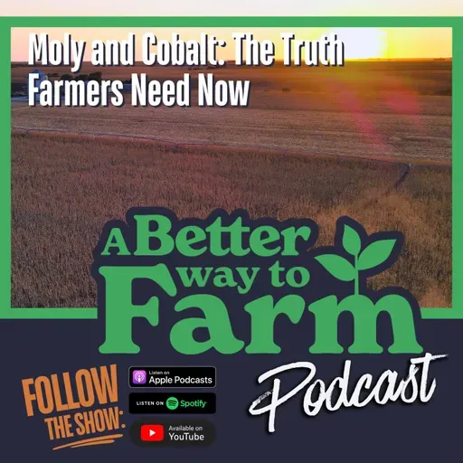 363: Moly and Cobalt: The Truth Farmers Need Now
