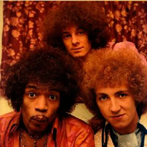 Are You Experienced 