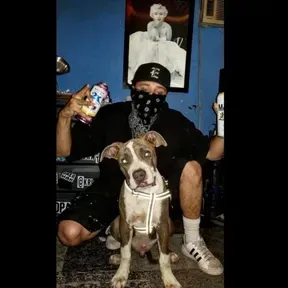 Chicanos South LS