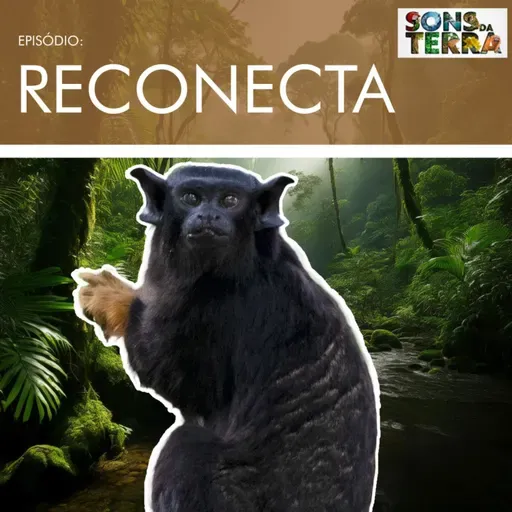 Projeto Reconecta usa pontes artificiais para salvar espécies