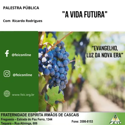 Evangelho, Luz da Nova Era - A Vida Futura