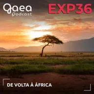 GaeaExperience 36 - De volta à África