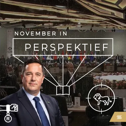 Perspektief:  November 2025