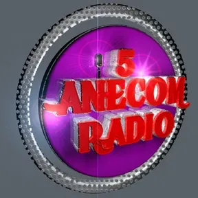 ANECOM RADIO