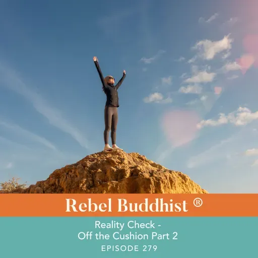 Reality Check - Off the Cushion + Into the World Part 2