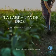 Predicación dominical: "La labranza de Dios"