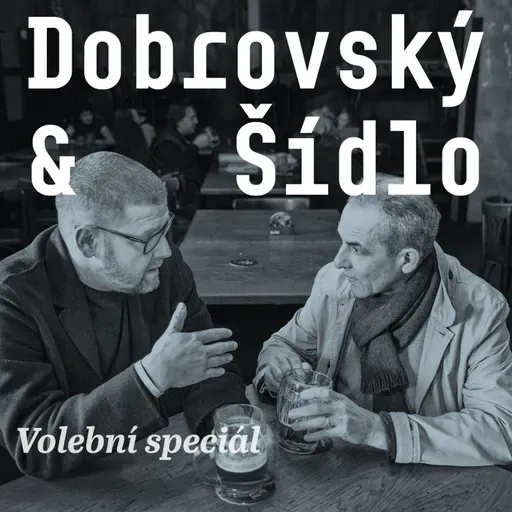 Nejdůležitější volby našich životů: Jak Topolánek s Paroubkem přivedli své strany na vrchol. A pak z něj spadli (2006 - 2010)