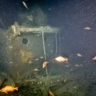 "Overvældende": Dansker dykker ned til berømt vrag på 390 meters dybde
"Bevægende" oplevelse
Spøgelsesnet på vraget
Vraget er skadet
Et levende vrag