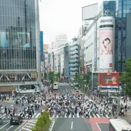 Japón: Tokio y templos de Nikko