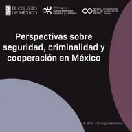 Perspectivas sobre seguridad, criminalidad y cooperación en México
