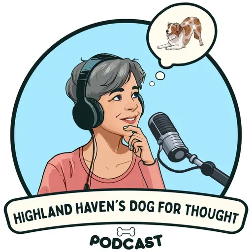 A Little Bit of This & That