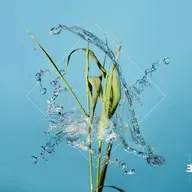 La Montaña Rusa 12.2026. Fergus McCready. Simone Basile. Tomasz Stanko. Mareike Wiening. Yann Aravit. Chris Rottmayer. Mike De Souza.