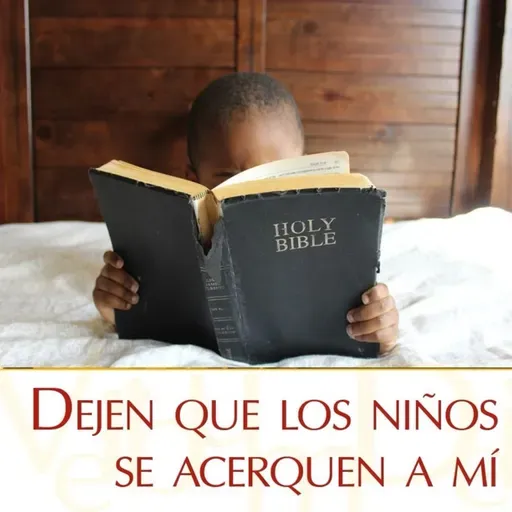 506 Sábado VII Ordinario Ciclo C