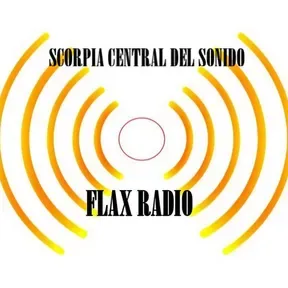 FLAX RADIO ELECTRO